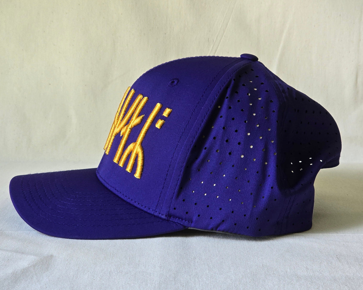 "Vikings" Hat 2.0