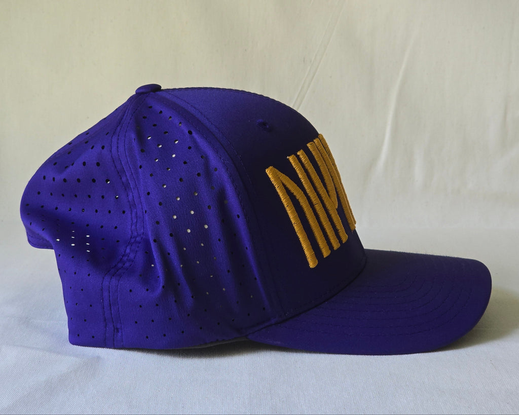 "Vikings" Hat 2.0