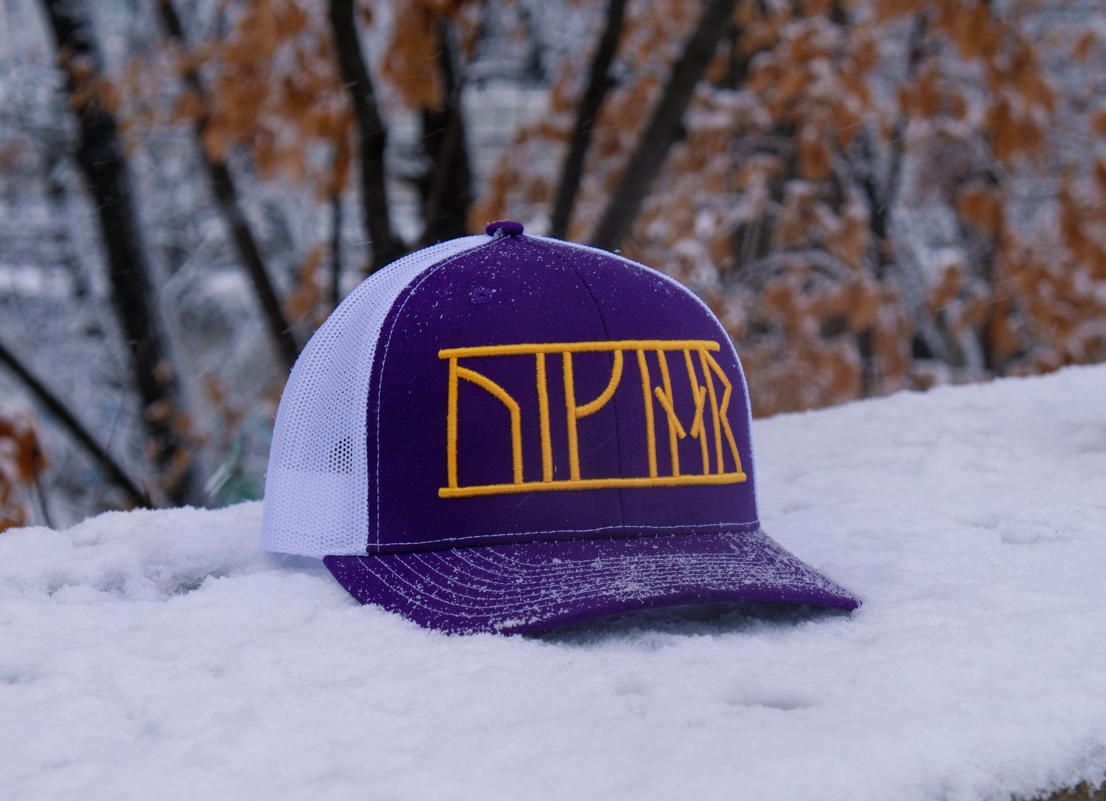 The "Vikings" gameday hat