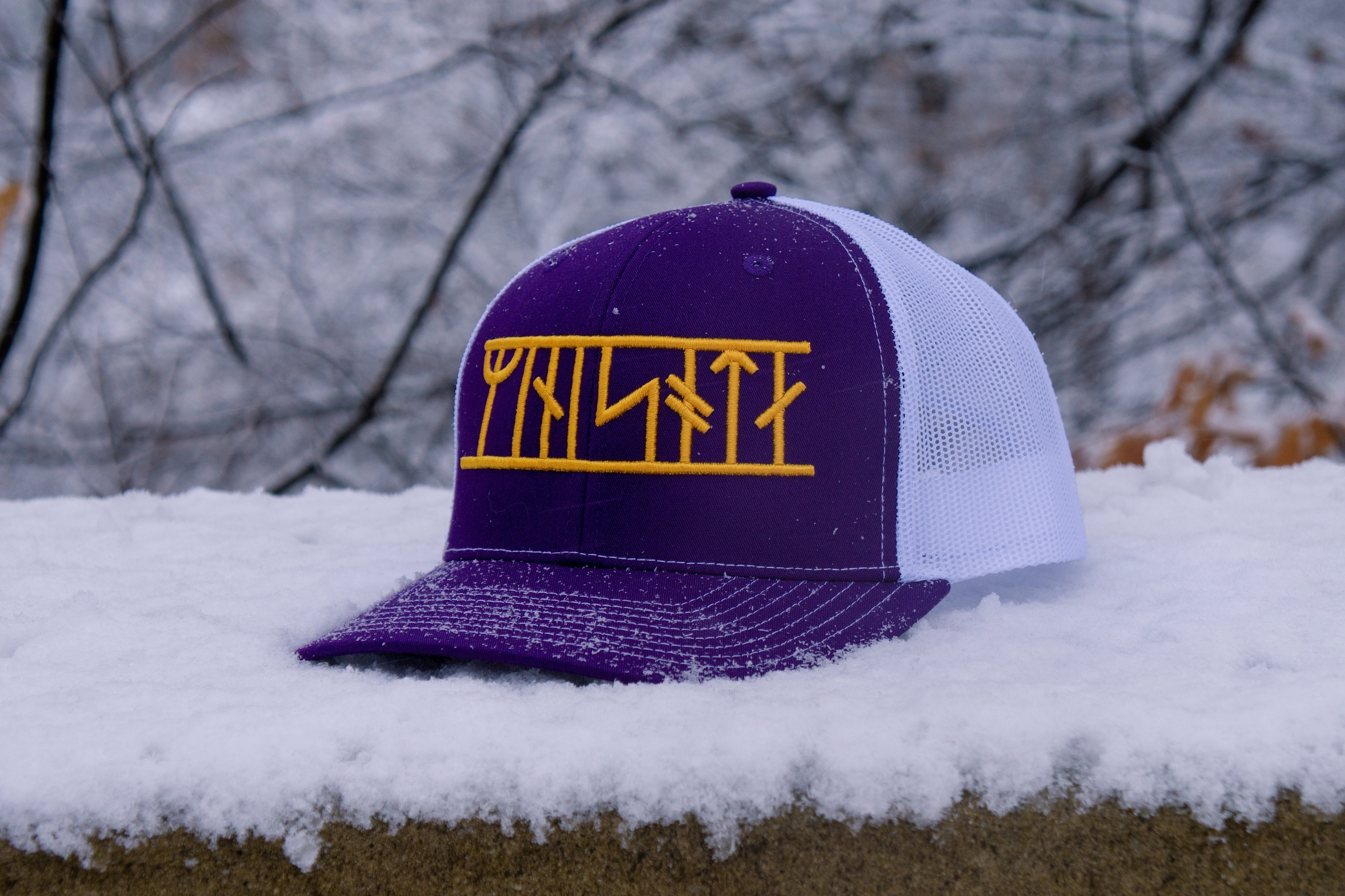 The "Minisota" gameday hat
