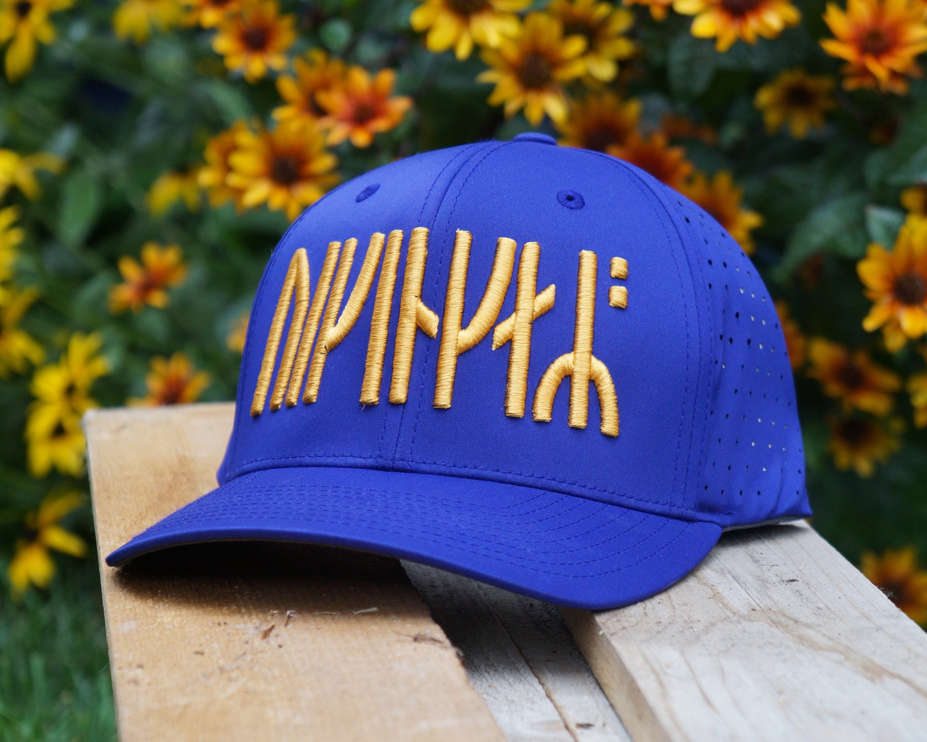 "Vikings" Hat 2.0