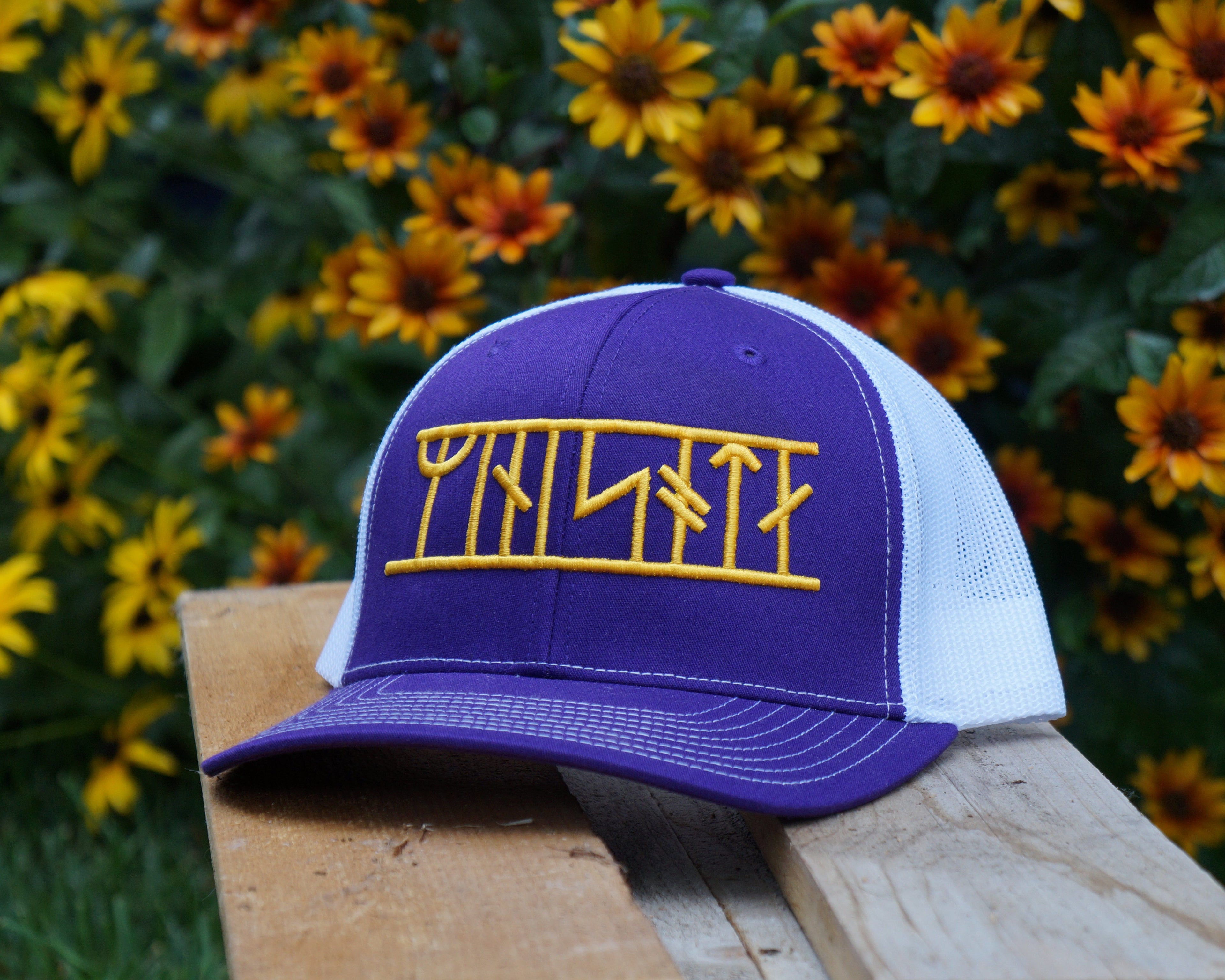 Minnesota Hat in Purple