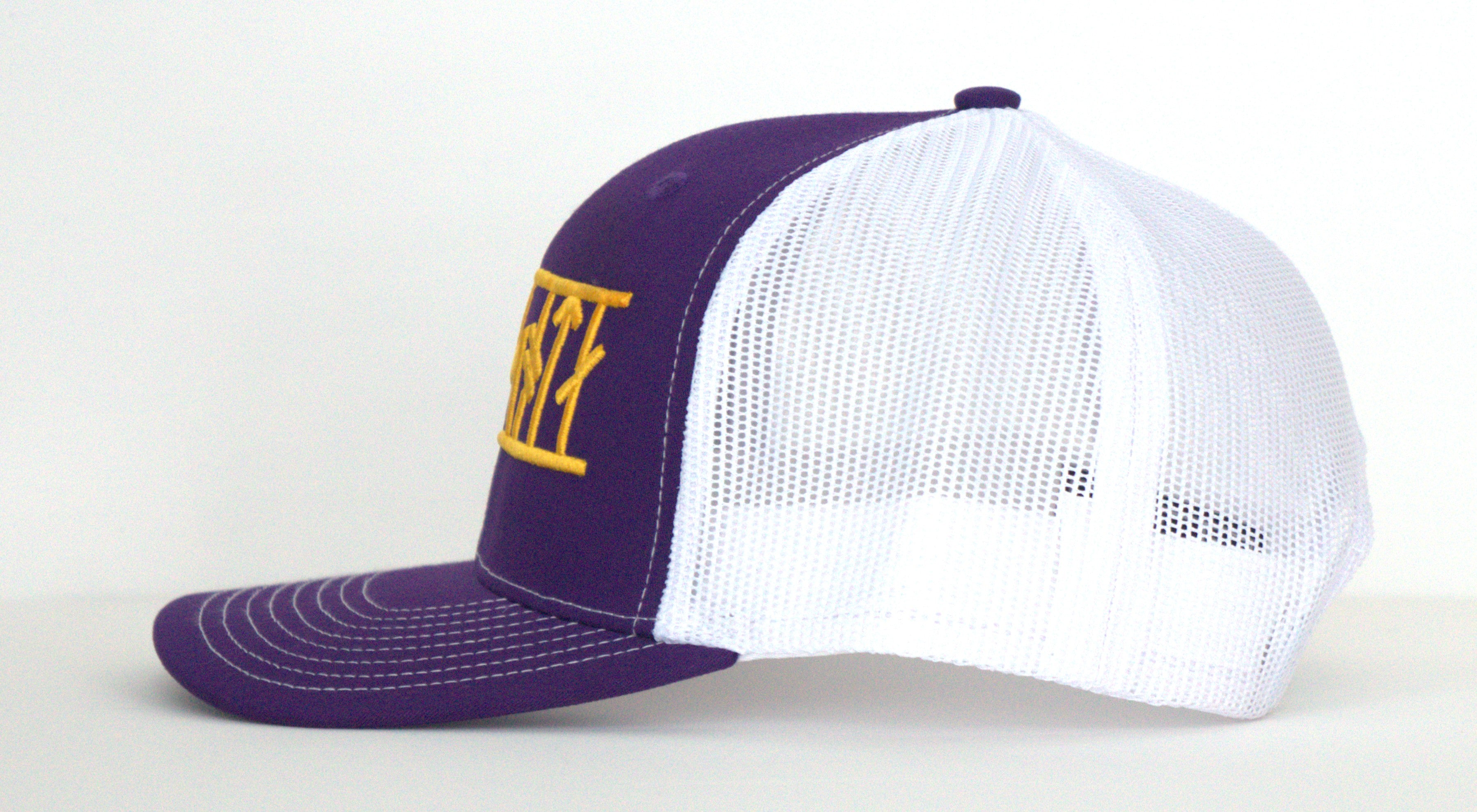 The "Minisota" gameday hat